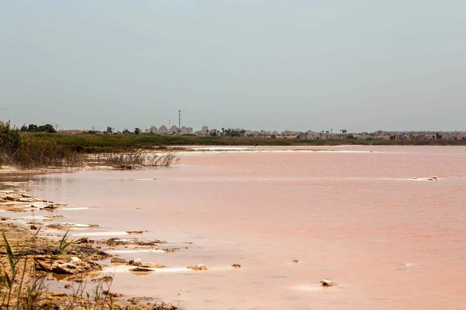 De roze Salinas-zoutmeren van Torrevieja aan de Costa Blanca